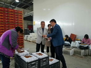 周至縣“優(yōu)質(zhì)服務(wù)提升年”活動(dòng)深入開(kāi)展 經(jīng)貿(mào)局局長(zhǎng)陳三選走訪聚仙食品并指導(dǎo)文化藝術(shù)交流